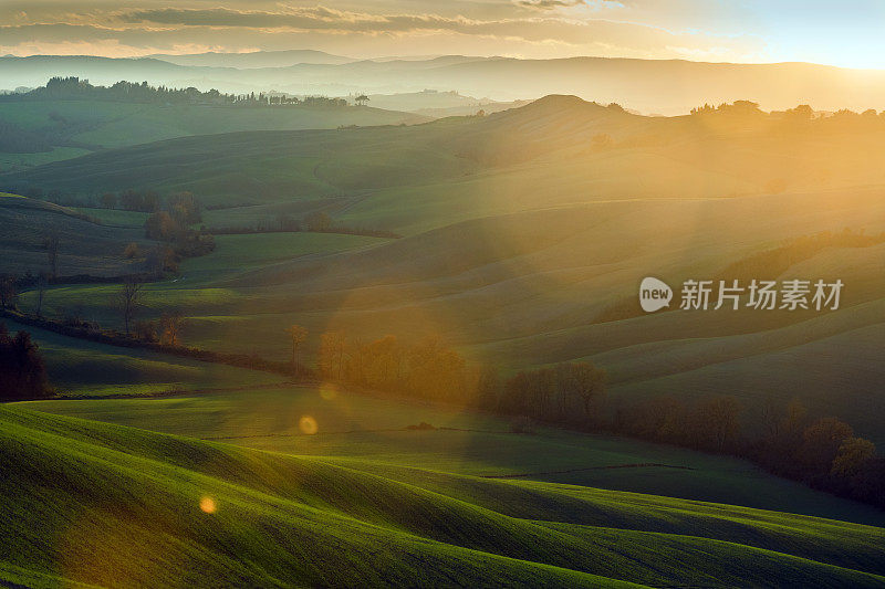 在傍晚的阳光下滚动的托斯卡纳风景，Val D'orcia，意大利